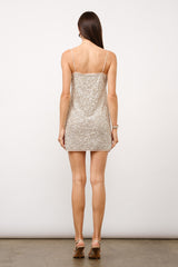 Etta Sequin Dress