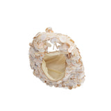 Shell Purse